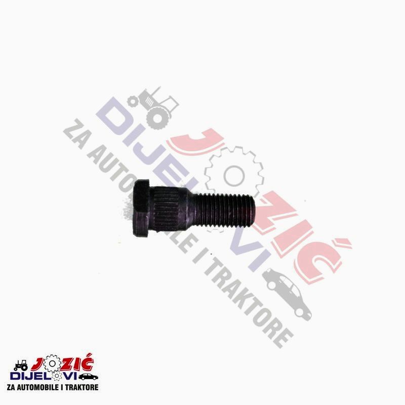 Daisy on the Ohoopee